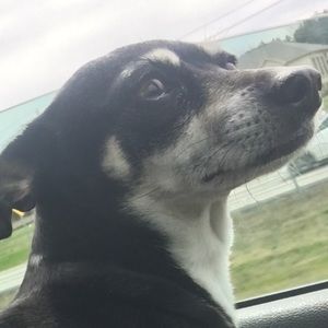 Meet your Posher, Alejandro